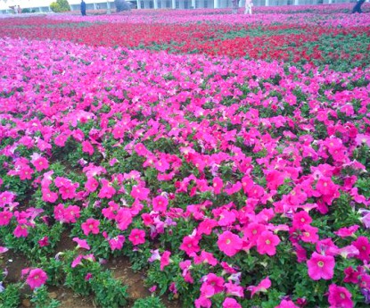 牽?；ɑê?></div>

                <div   id=